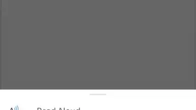 Screenshot von Microsoft Word 14
