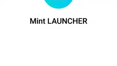 Screenshot von Mint Launcher 1