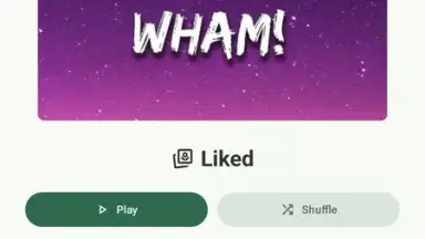 Screenshot von VIVI Music 16