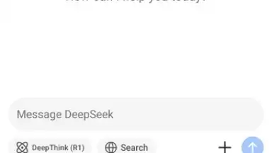 Screenshot von DeepSeek 9