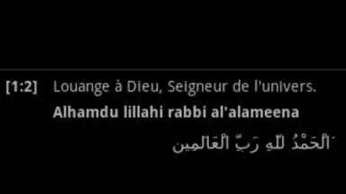 Screenshot von Quran 6