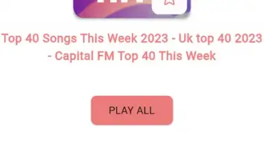 Screenshot von Musify 5