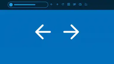 Screenshot von Silk Browser 3