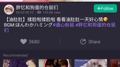 Screenshot von Meipai 12
