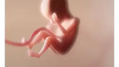 Screenshot von Pregnancy + 1