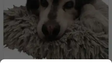 Screenshot von PhotoRoom 8