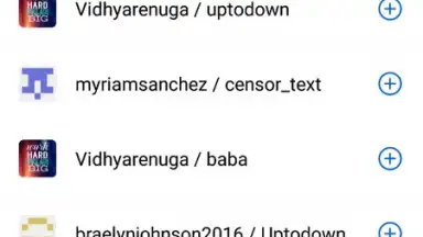 Screenshot von GitHub 2