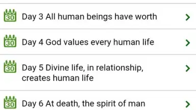 Screenshot von 30 Days for Life 2