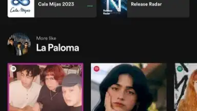 Screenshot von Spotify 13