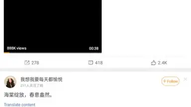 Screenshot von Weibo 1