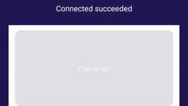 Screenshot von Flower VPN 1