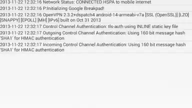 Screenshot von OpenVPN 8