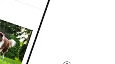 Screenshot von RP ONLINE 12