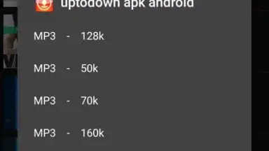 Screenshot von MP3 Downloader 1