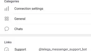 Screenshot von Telega 1