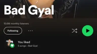 Screenshot von Spotify 5