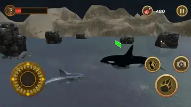 Screenshot von Great White Shark Survival 2