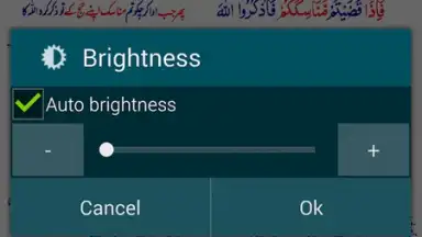 Screenshot von Asan Quran Urdu 3
