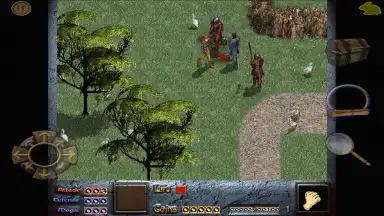 Screenshot von Dink Smallwood HD 10