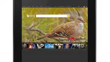 Screenshot von Anonymous Browser 16