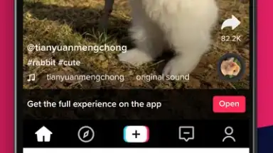 Screenshot von Video Downloader 1