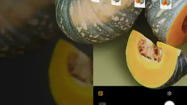 Screenshot von RealityScan - 3D Scanning App 15
