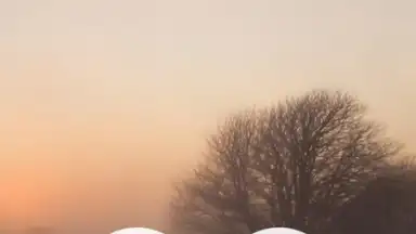 Screenshot von Meditation Music Metapps 9