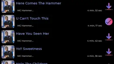 Screenshot von SpotiFlyer 6