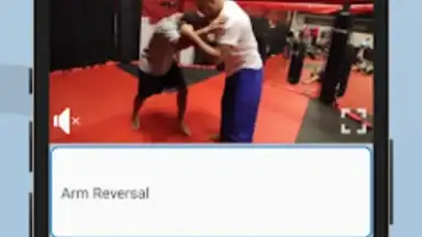 Screenshot von Ultimate MMA Fighting Program 9