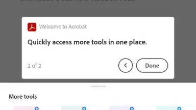 Screenshot von Adobe Acrobat Reader 7