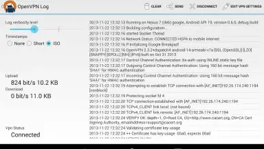 Screenshot von OpenVPN 9