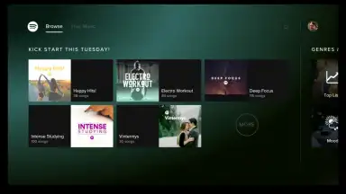 Screenshot von Spotify for Android TV 6