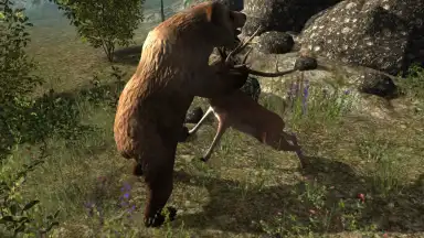 Screenshot von Real Bear Simulator 3