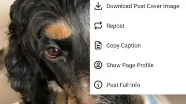 Screenshot von Honista 1