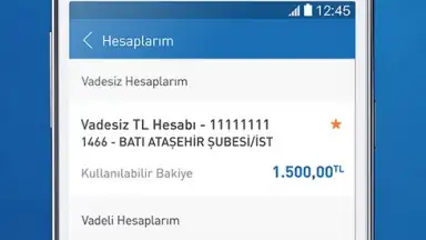 Screenshot von Halkbank 5
