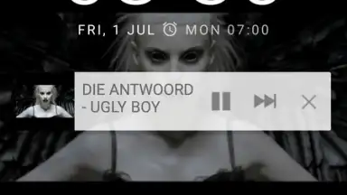 Screenshot von FireTube 8