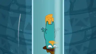 Screenshot von Where's My Perry? Free 5