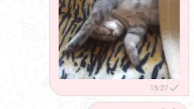 Screenshot von Triple chat, online dating 2