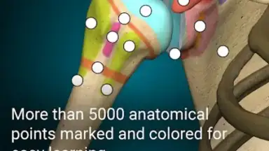 Screenshot von 3D Anatomy Learning 7