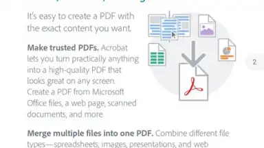 Screenshot von Adobe Acrobat Reader 8