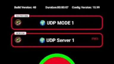 Screenshot von BD NET VPN 2