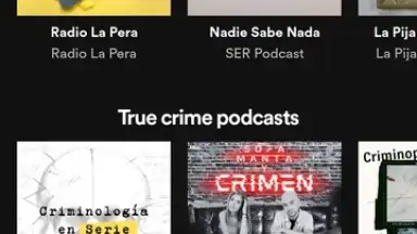 Screenshot von Spotify 27