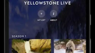 Screenshot von Nat Geo TV 13