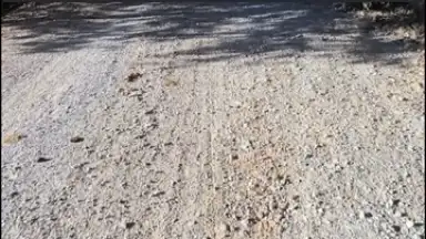 Screenshot von DJI Mimo 21