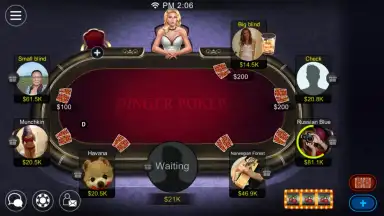 Screenshot von Dinger Poker 4