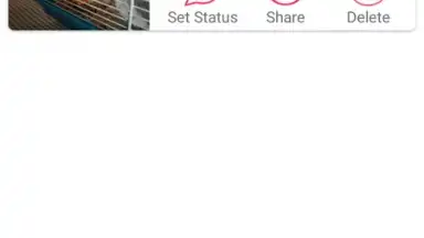 Screenshot von Status Saver 3