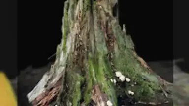 Screenshot von RealityScan - 3D Scanning App 6
