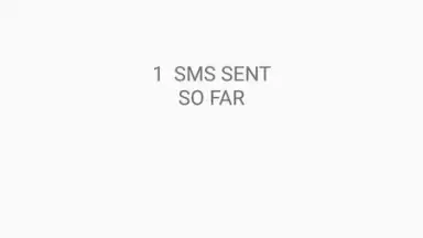 Screenshot von CustomizedBulkSMS 4