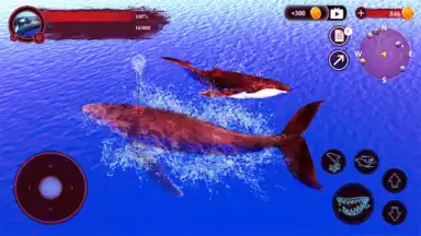 Screenshot von The Humpback Whales 11