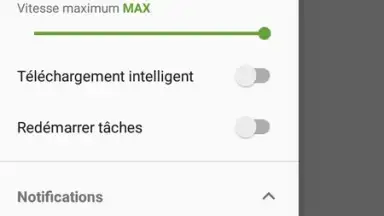 Screenshot von IDM (internet download menager) 7